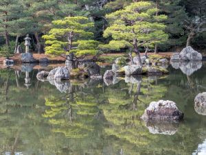 Sometimes zooming in on the trees can be a nice change of perspective.